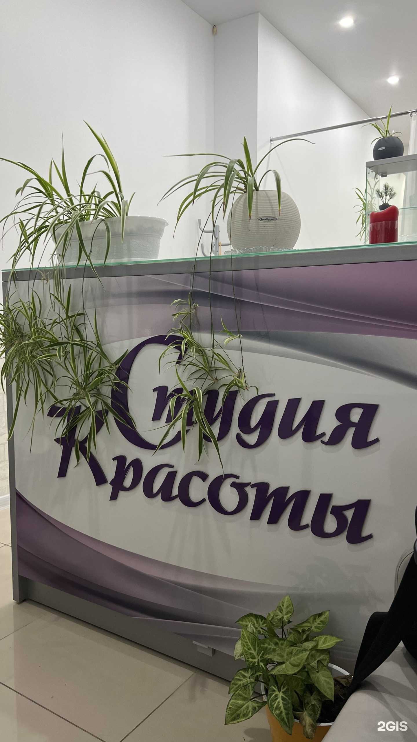 Отзывы на компанию Эффект в Сочи c фото