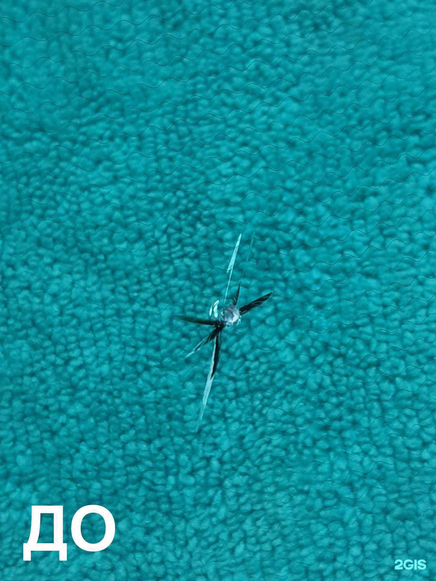 Отзывы на компанию Мастерская по ремонту автостекол в г. Кемерово c фото