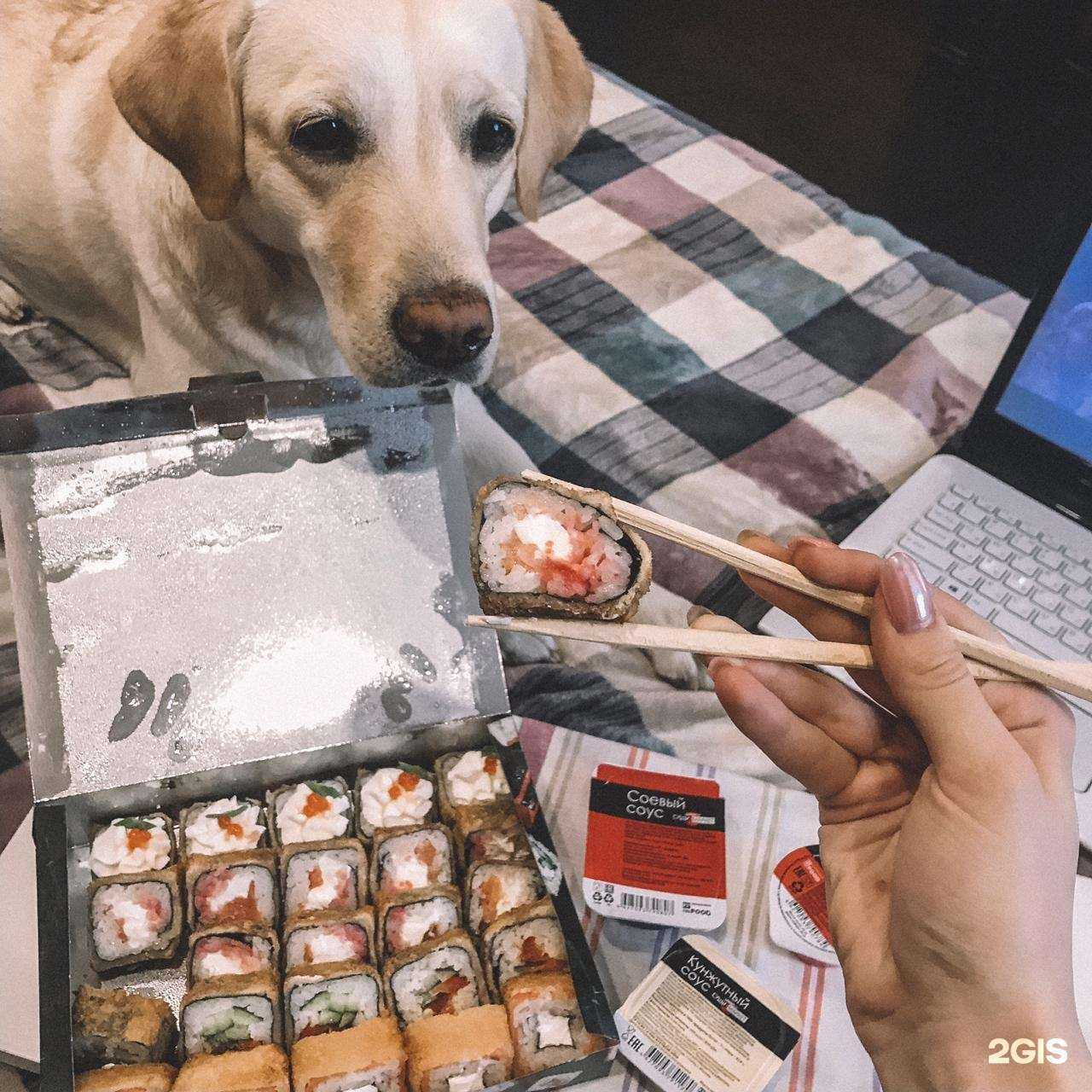 Отзывы на компанию Суши-Маркет в г. Сыктывкар c фото