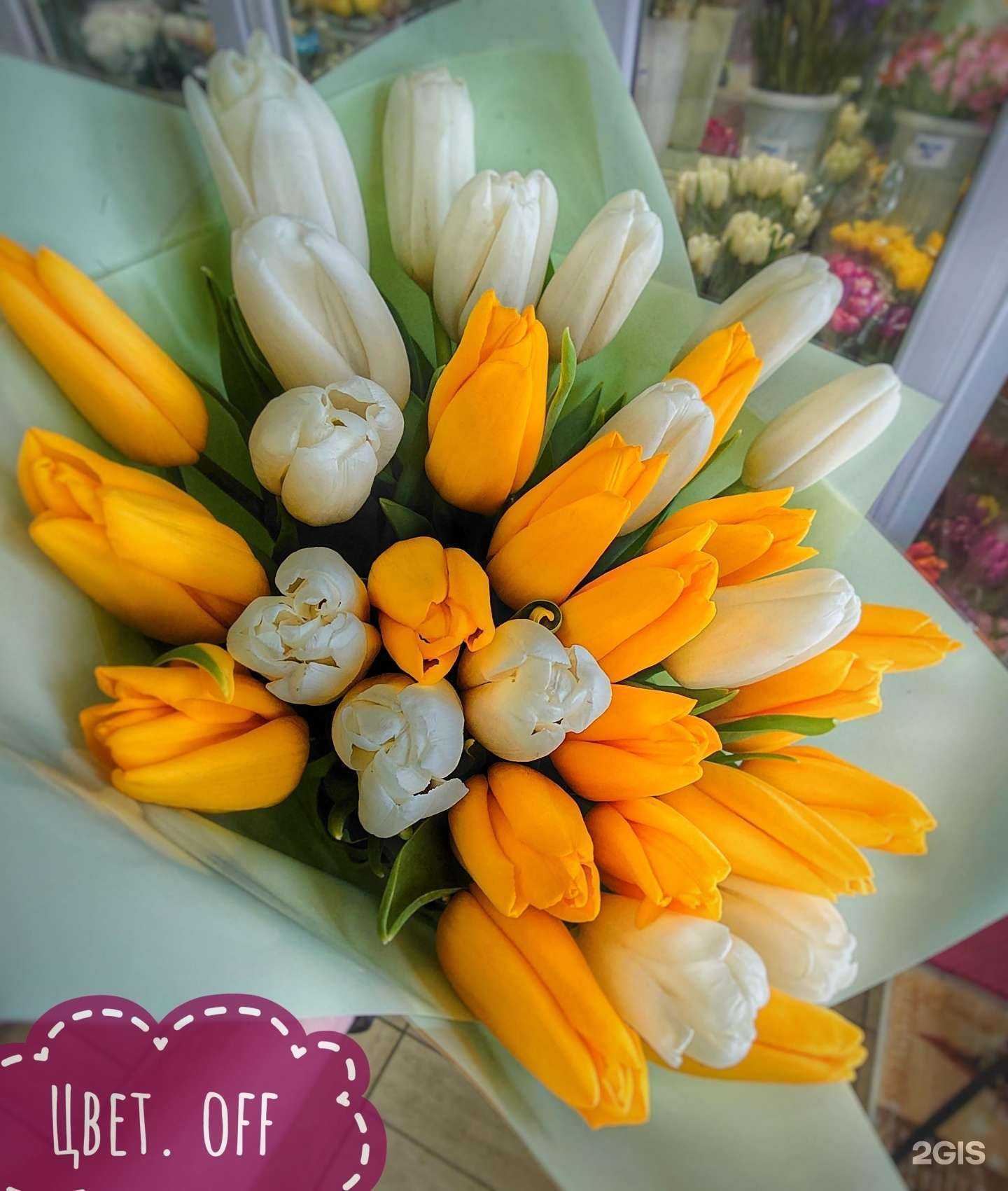 Отзывы на компанию Цвет.off в Красноярске c фото