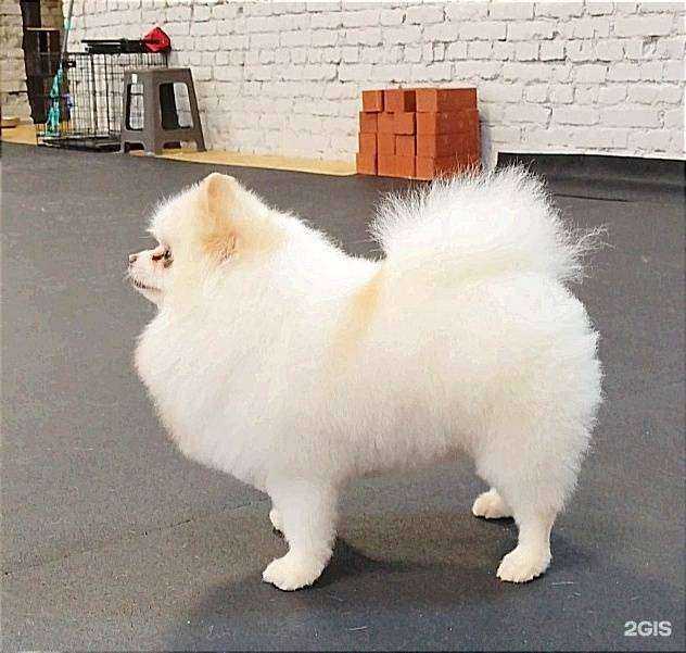 Отзывы на компанию Терра в г. Новоуральск c фото