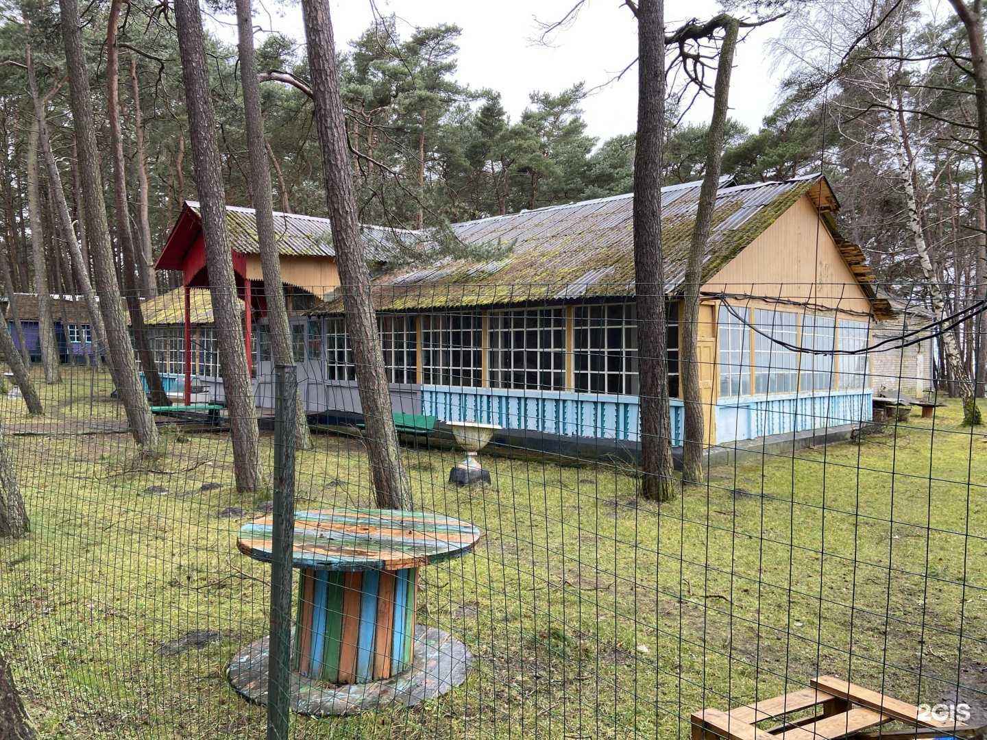 Отзывы на компанию Сосновая поляна в Светлогорске c фото - фотография 2 из 2