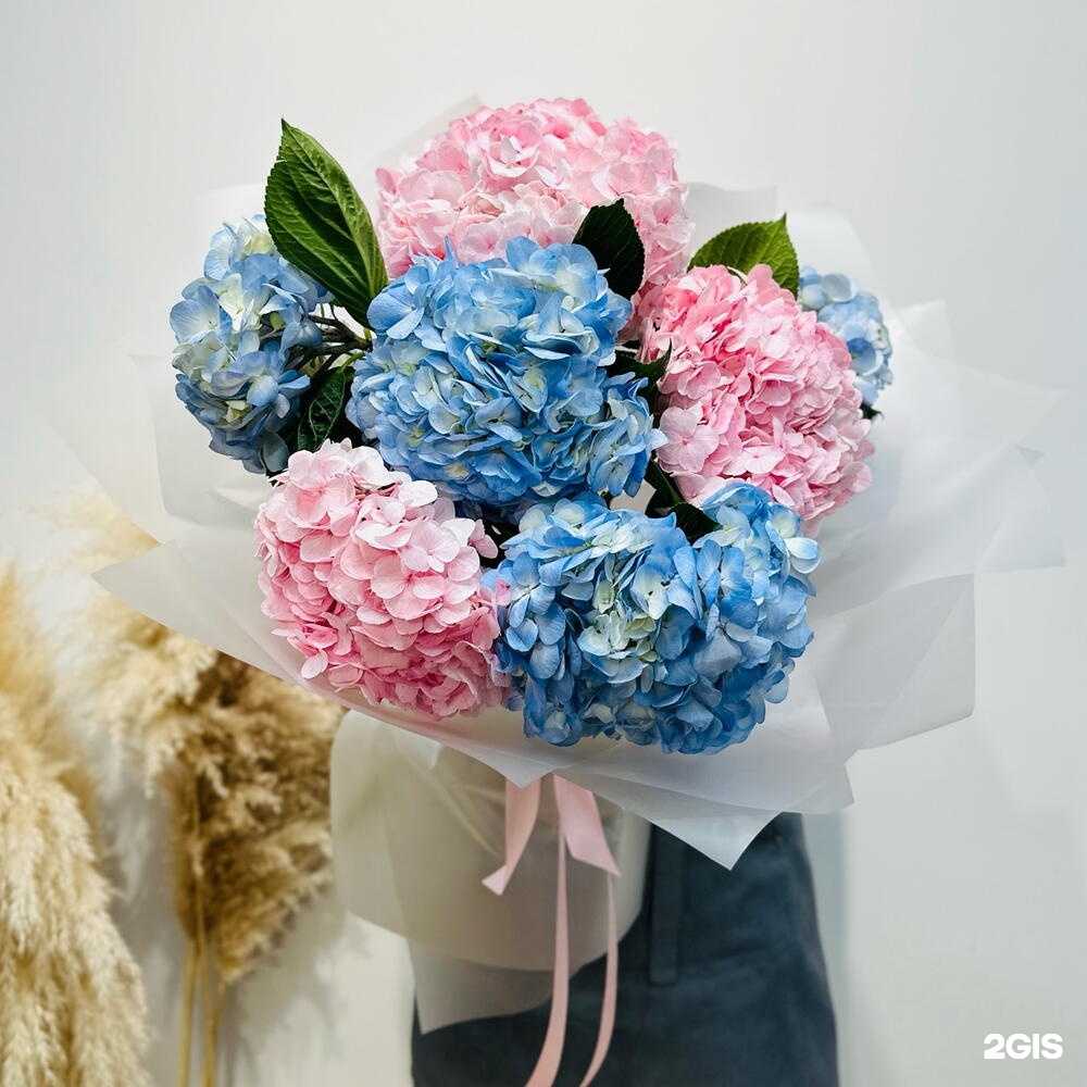 Отзывы на компанию Wisteria в Красноярске c фото