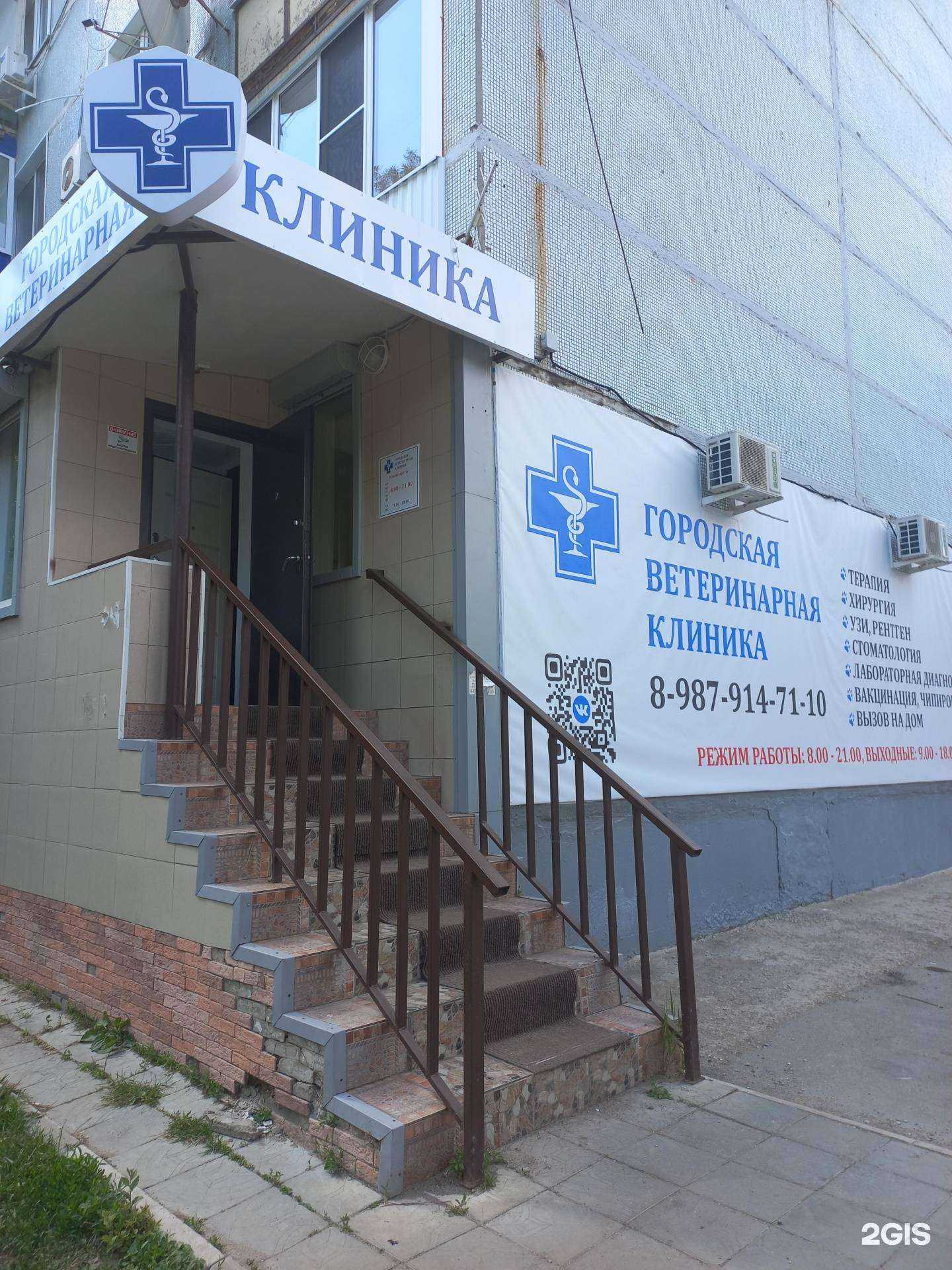 Отзывы на компанию Городская ветеринарная клиника в Сызрани c фото