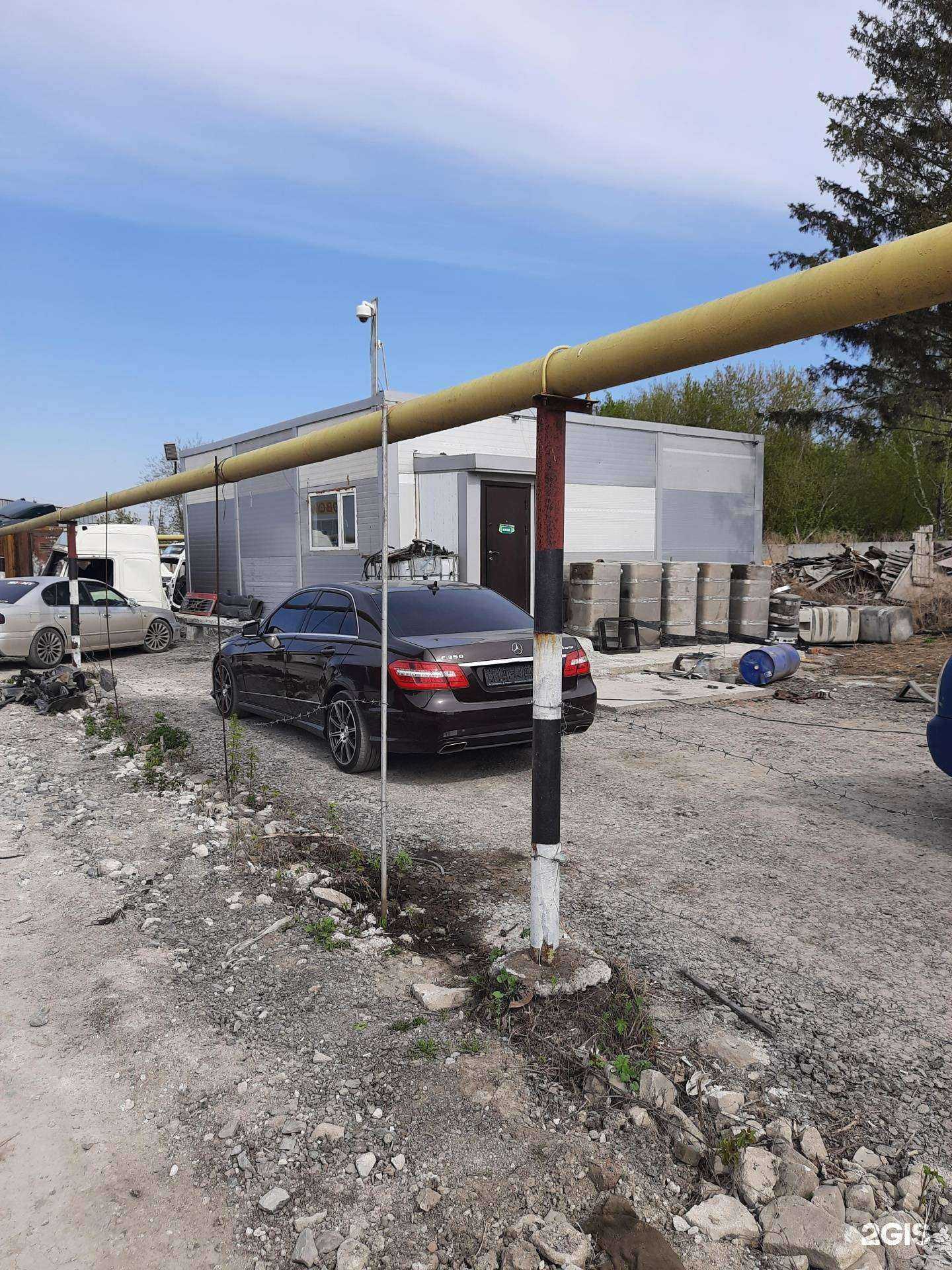 Отзывы на компанию Золотой Лев в Новосибирске c фото - фотография 2 из 2