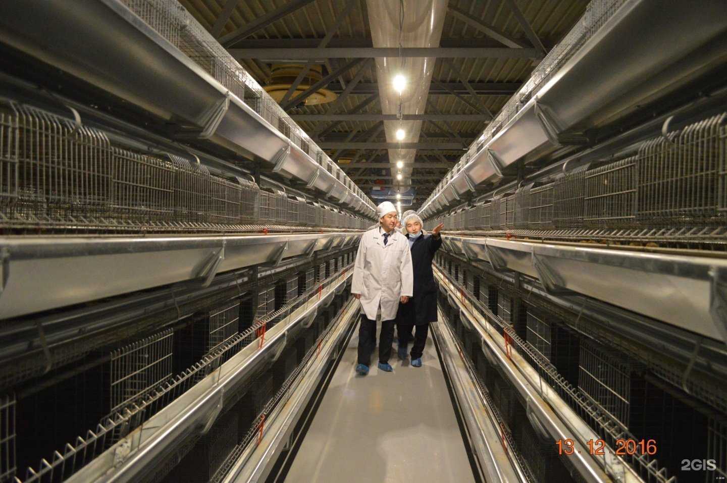 Отзывы на компанию Якутская Птицефабрика в Якутске c фото