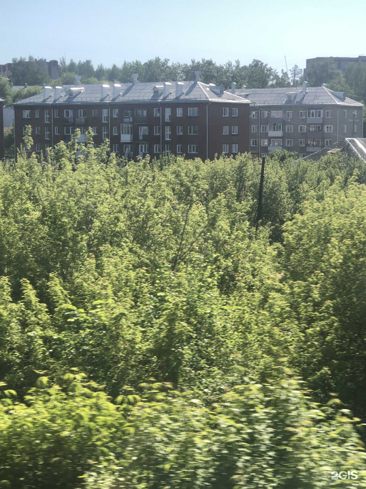 Отзывы на компанию Живика в Красноуфимске c фото - фотография 2 из 2