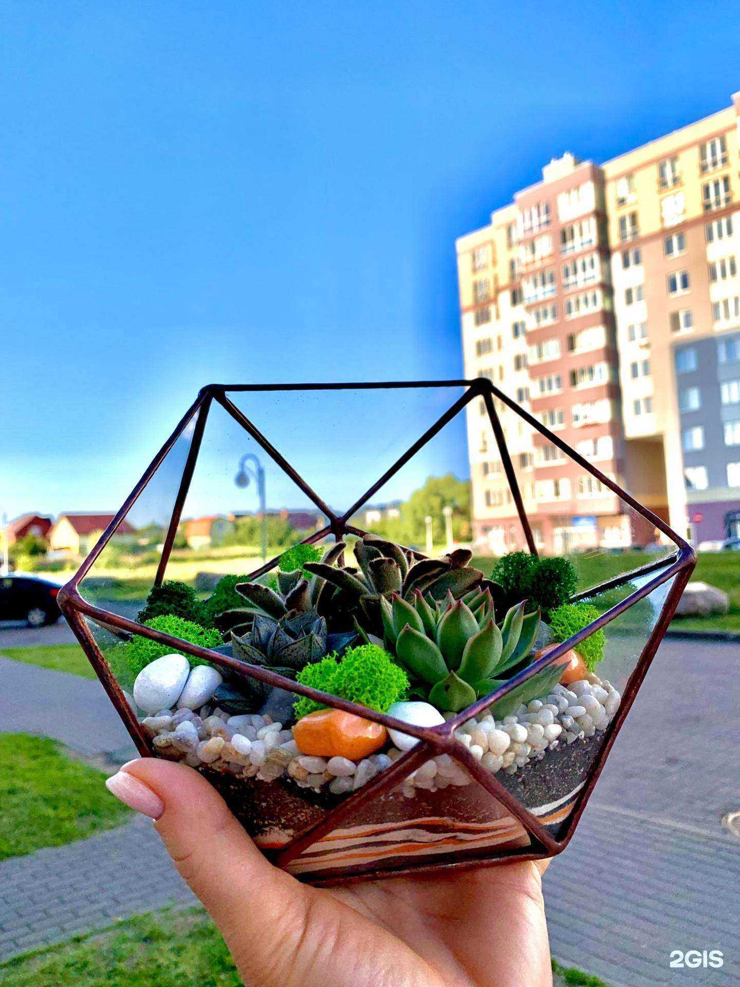 Отзывы на компанию Анемона в Калининграде c фото