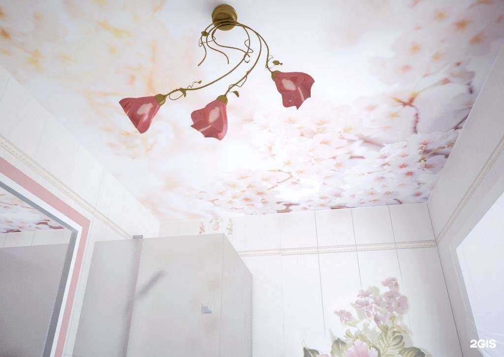 Отзывы на компанию Бастэт в Челябинске c фото