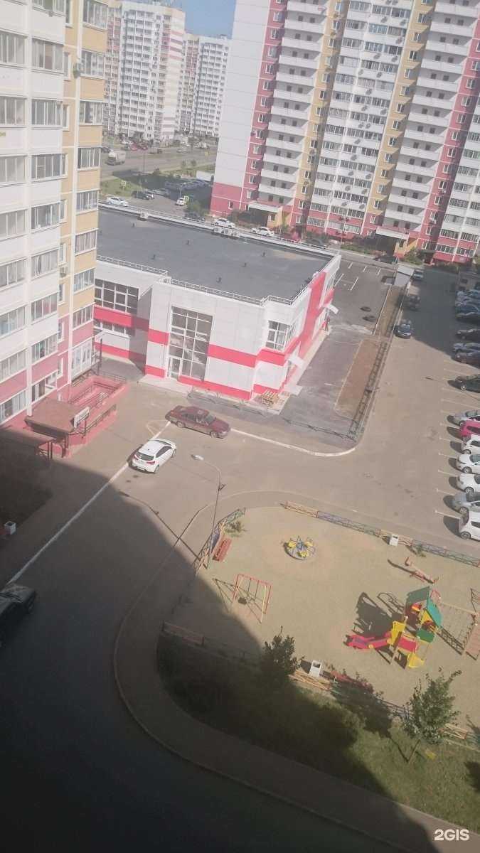 Отзывы на компанию Барсик в Краснодаре c фото