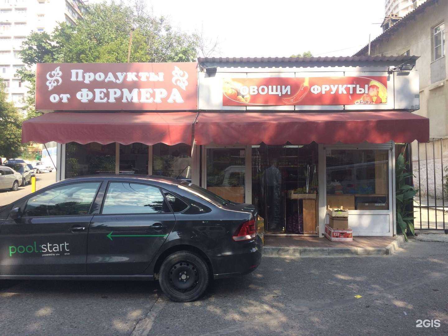 Отзывы на компанию Любимый хвостик в Сочи c фото - фотография 2 из 2