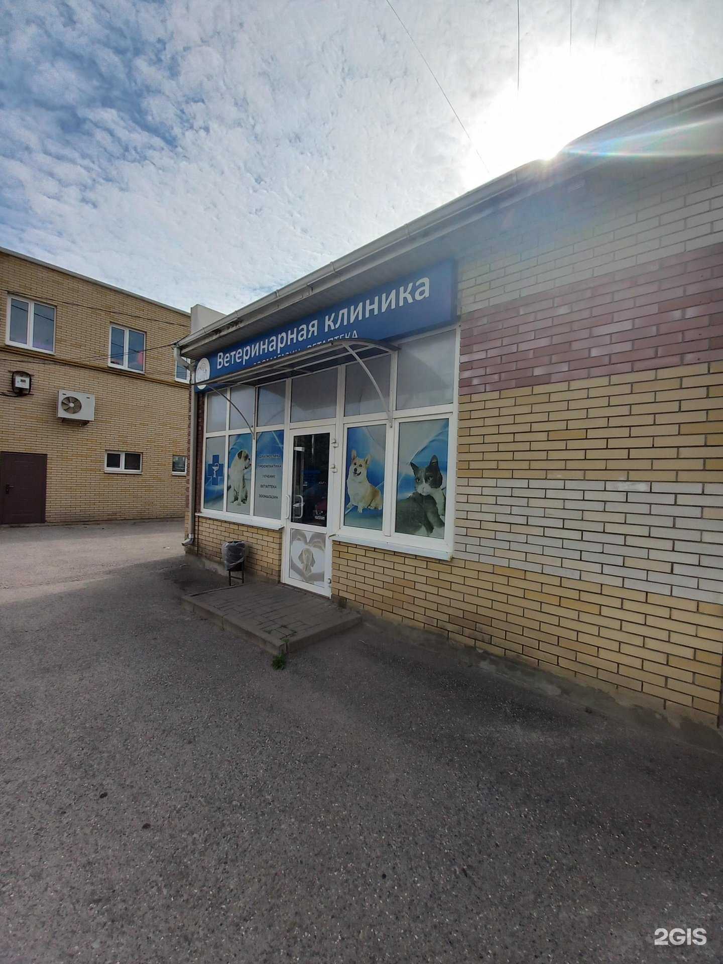 Отзывы на компанию Ай-Болит в Таганроге c фото