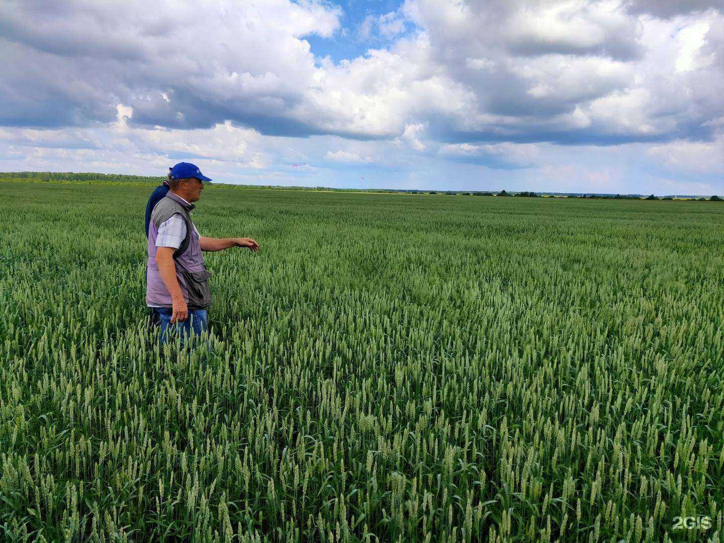 Отзывы на компанию Азур-нива в Тюмени c фото