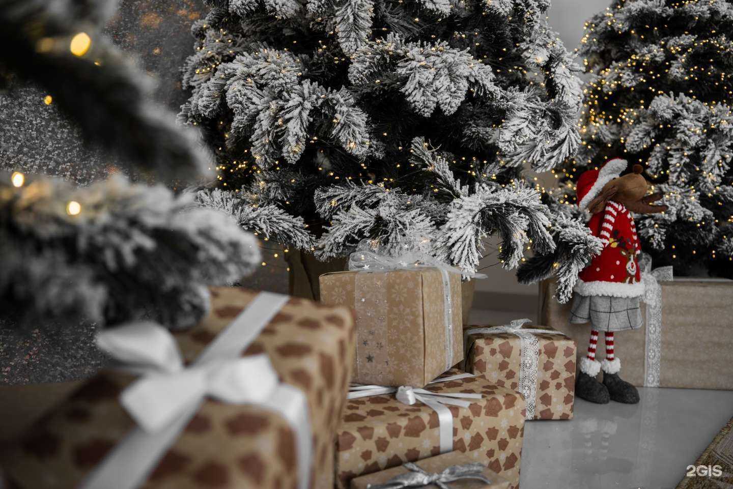 Отзывы на компанию Aura в Сочи c фото