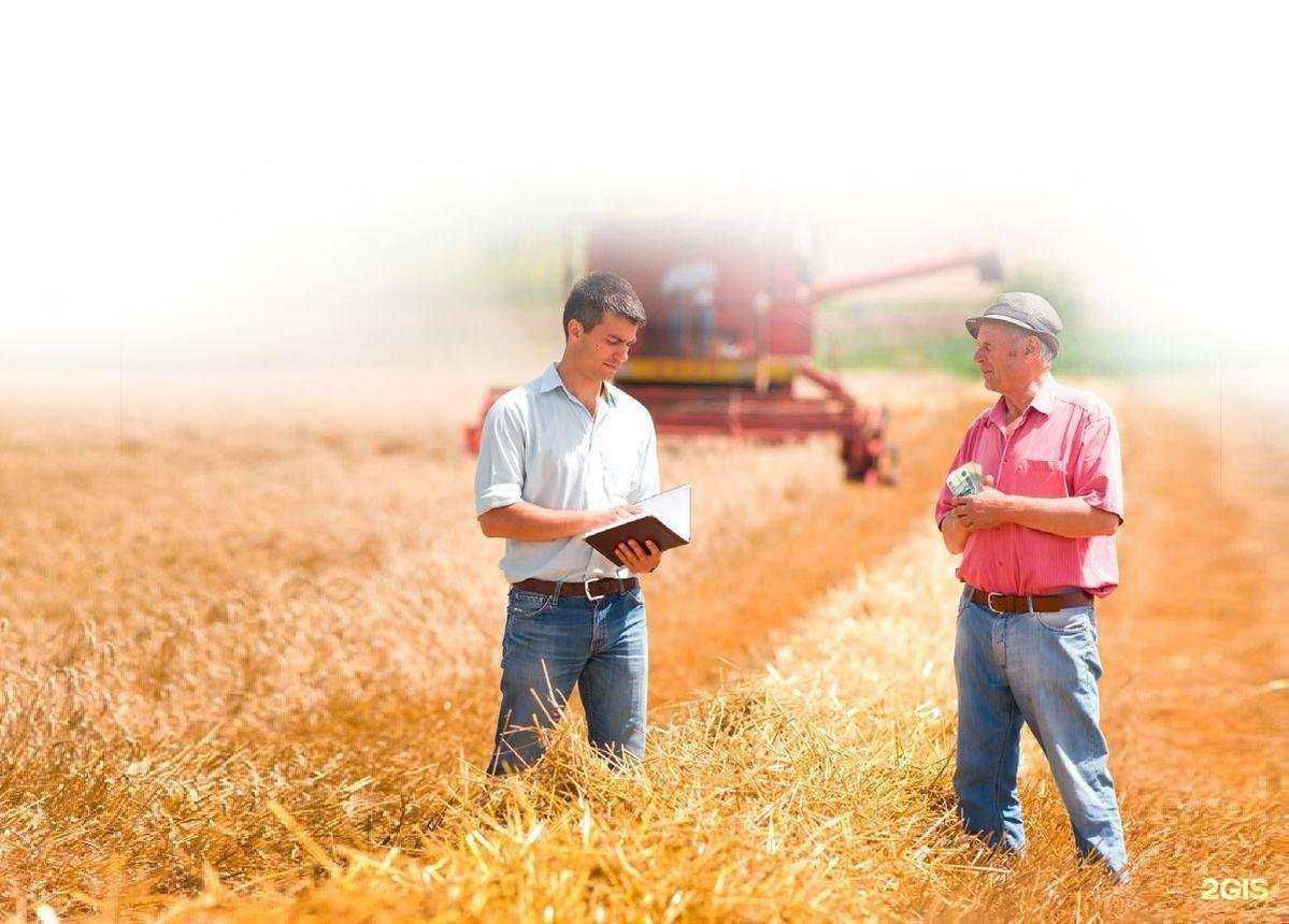 Отзывы на компанию АгроПро в Воронеже c фото