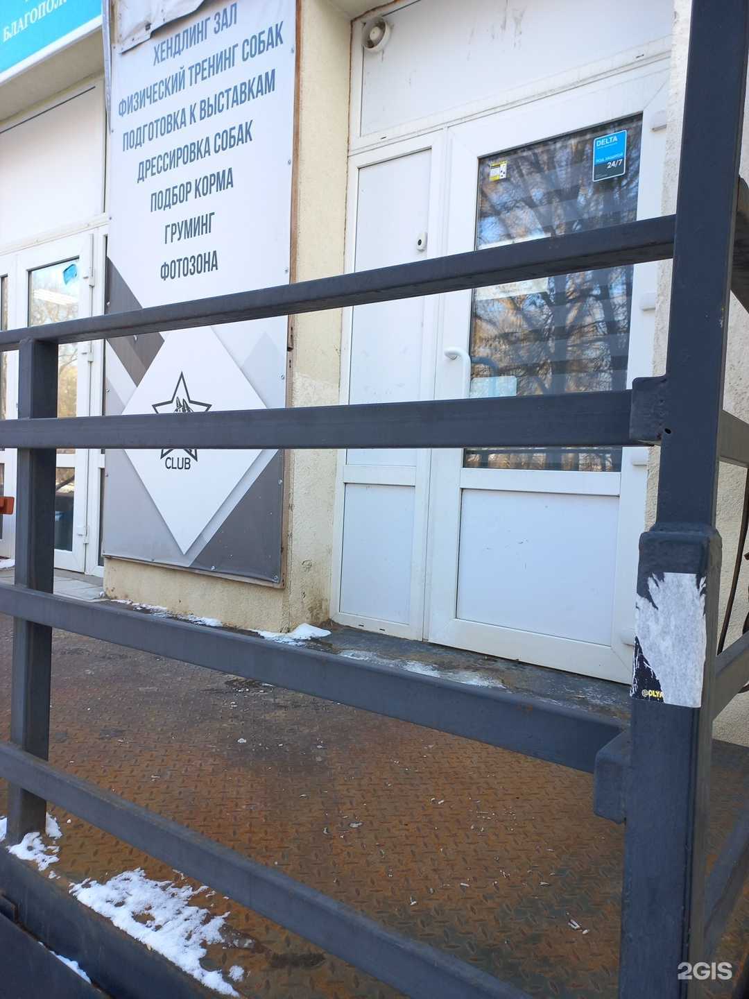 Отзывы на компанию Псарь в Самаре c фото