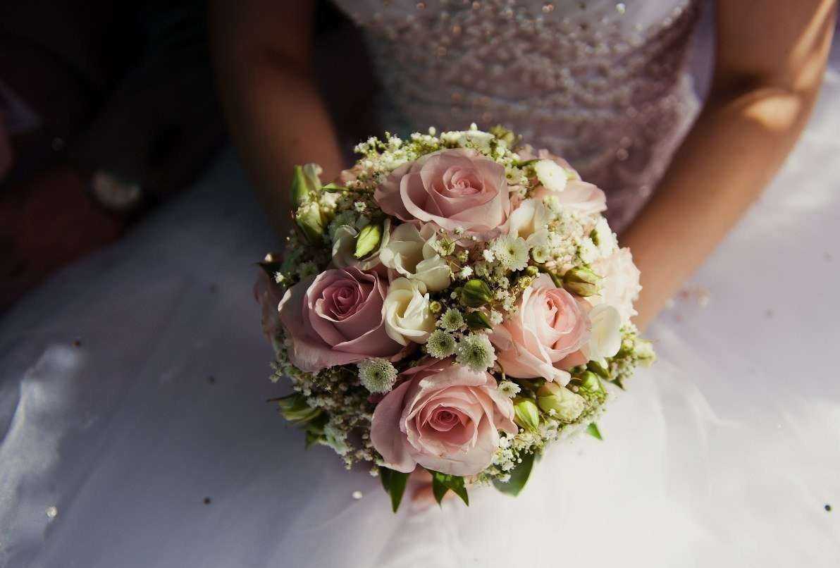 Отзывы на компанию Клумба в Северодвинске c фото