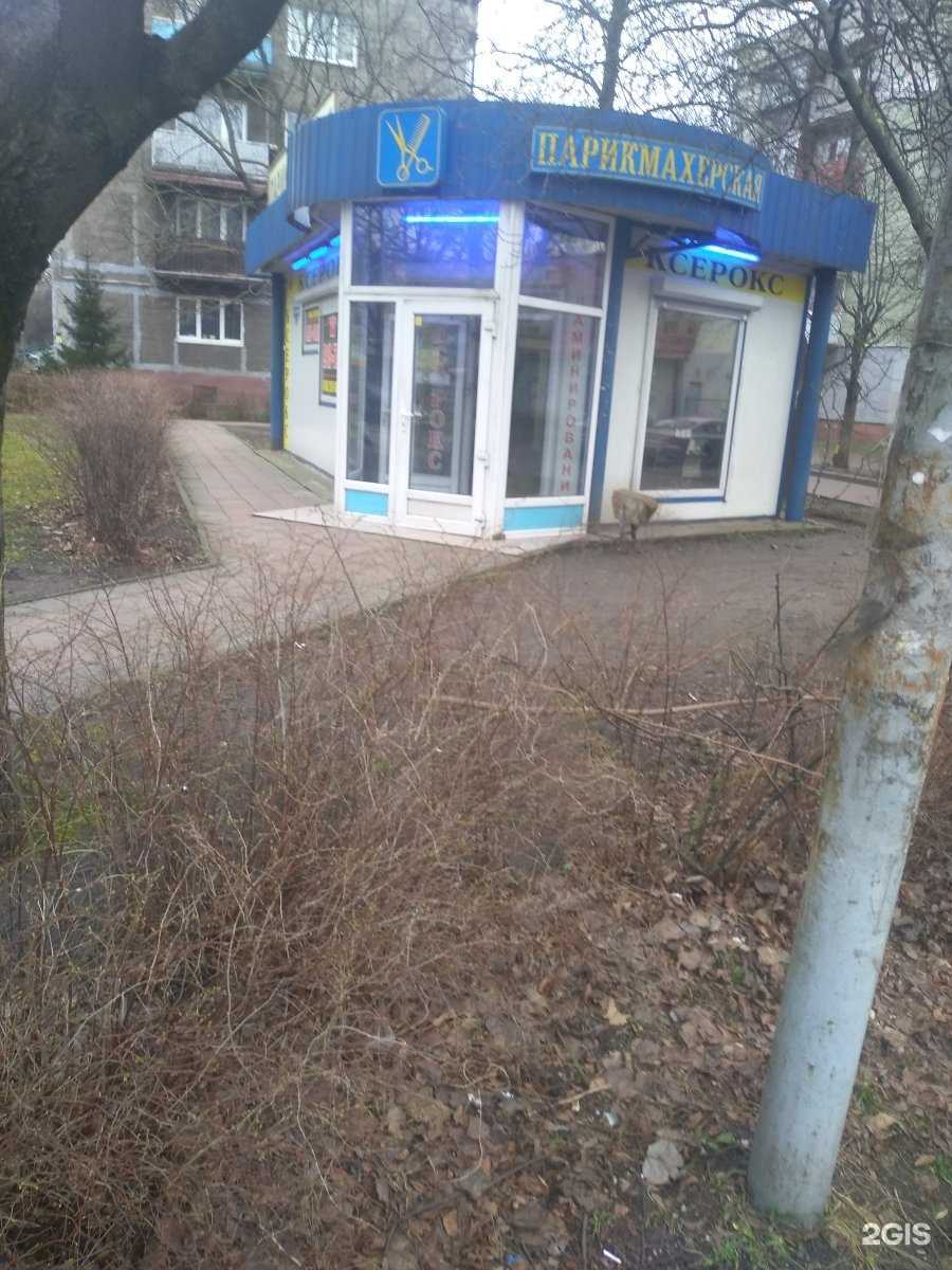 Отзывы на компанию Солнечный ветер в Калининграде c фото