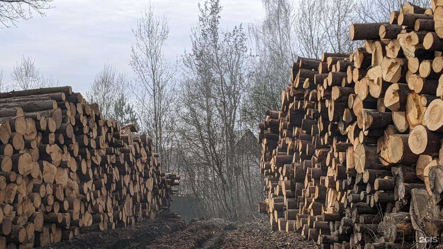 Отзывы на компанию Компания по производству пиломатериалов в г. Калуга c фото