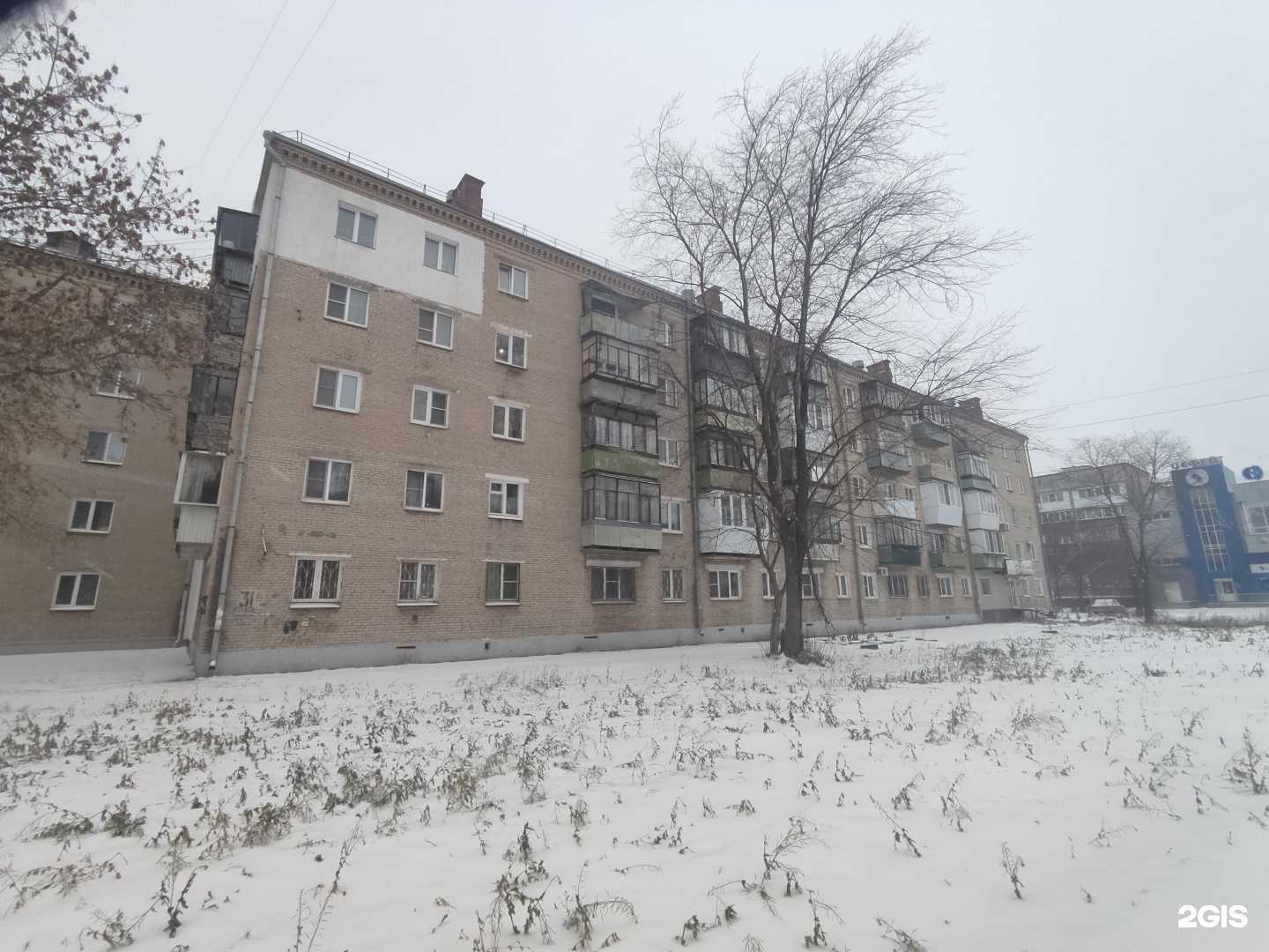 Отзывы на компанию Лапочки в Копейске c фото - фотография 2 из 2