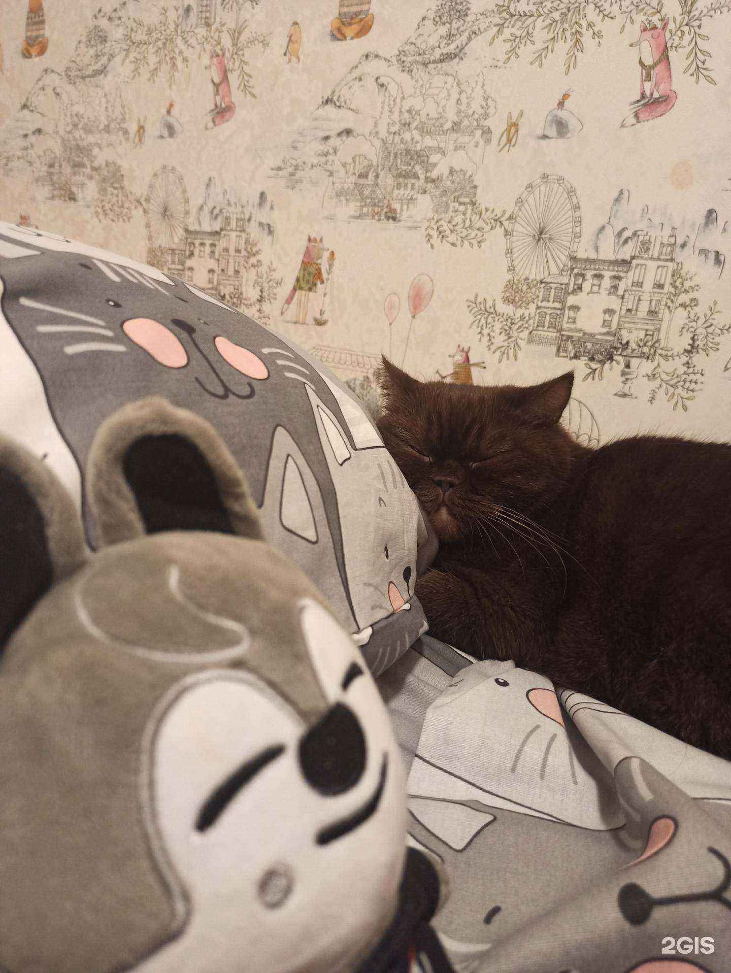 Отзывы на компанию Кузнечик в г. Сочи c фото