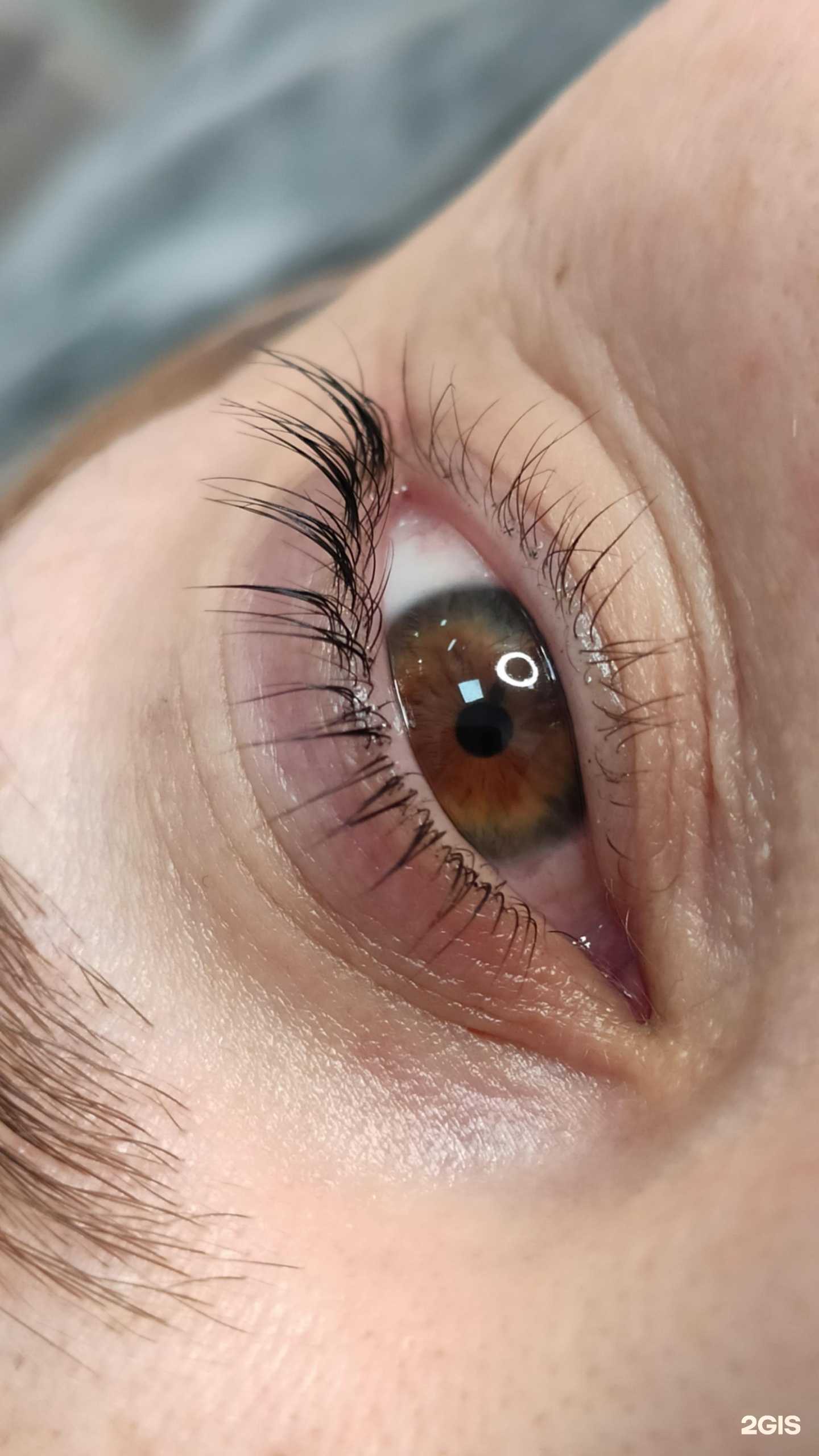 Отзывы на компанию Senora brows в Краснодаре c фото