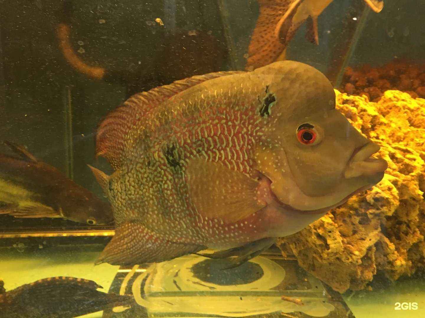 Отзывы на компанию Мир природы в Рязани c фото