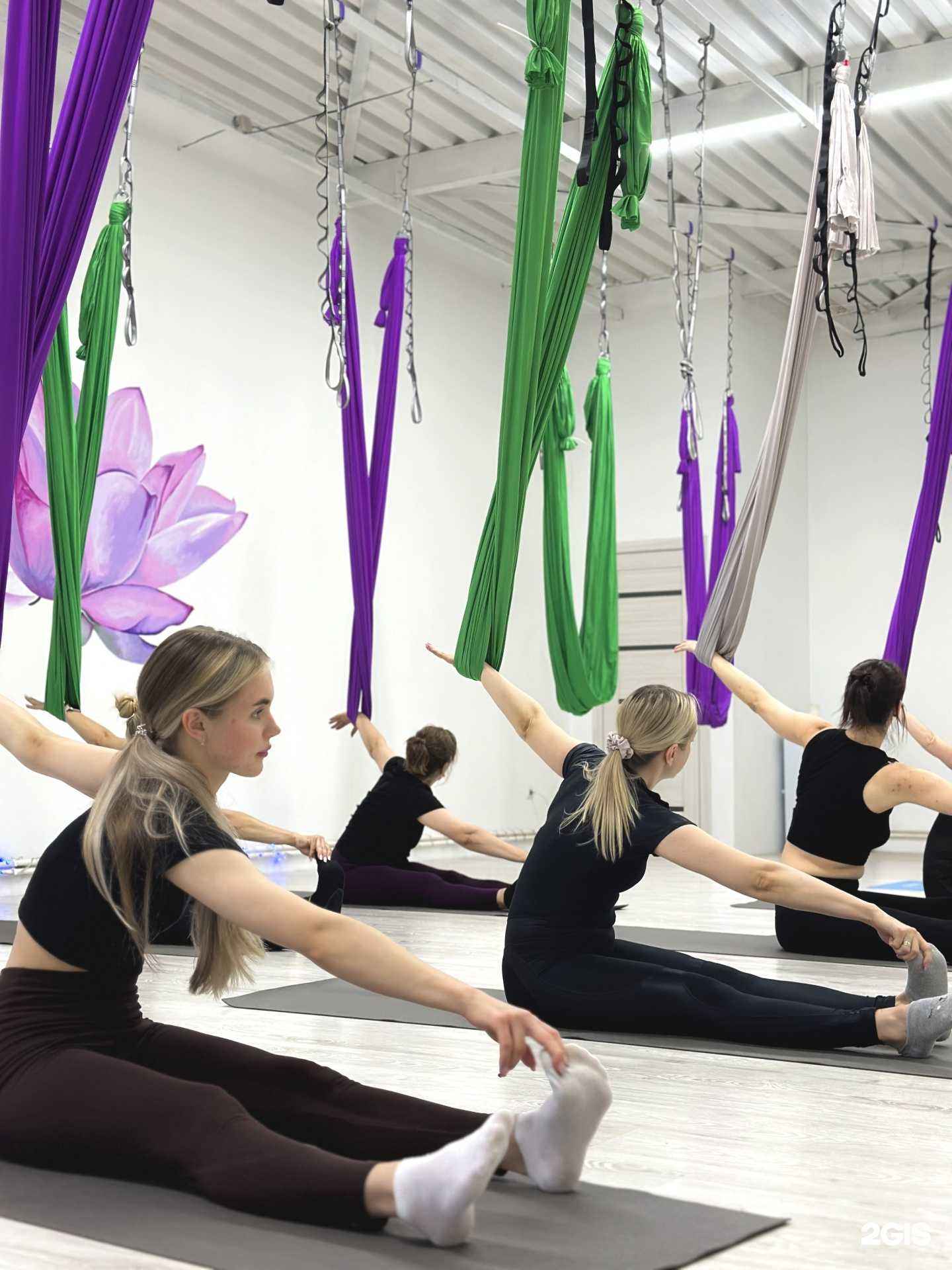 Отзывы на компанию Лотос мира в г. Волгодонск c фото