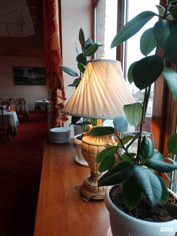 Отзывы на компанию Фруктовый сад в г. Ростов-на-Дону c фото