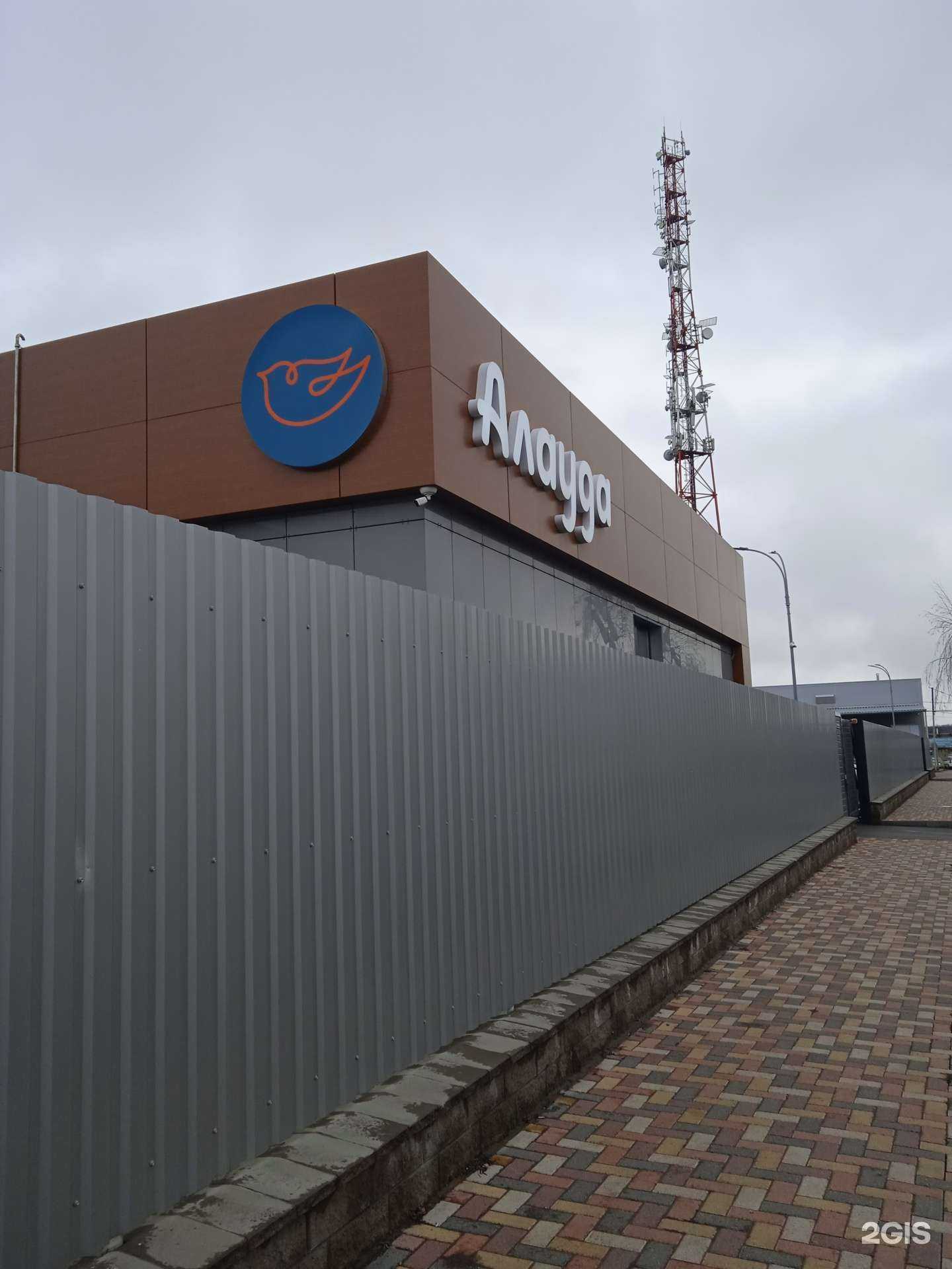 Отзывы на компанию Алауда в Ставрополе c фото