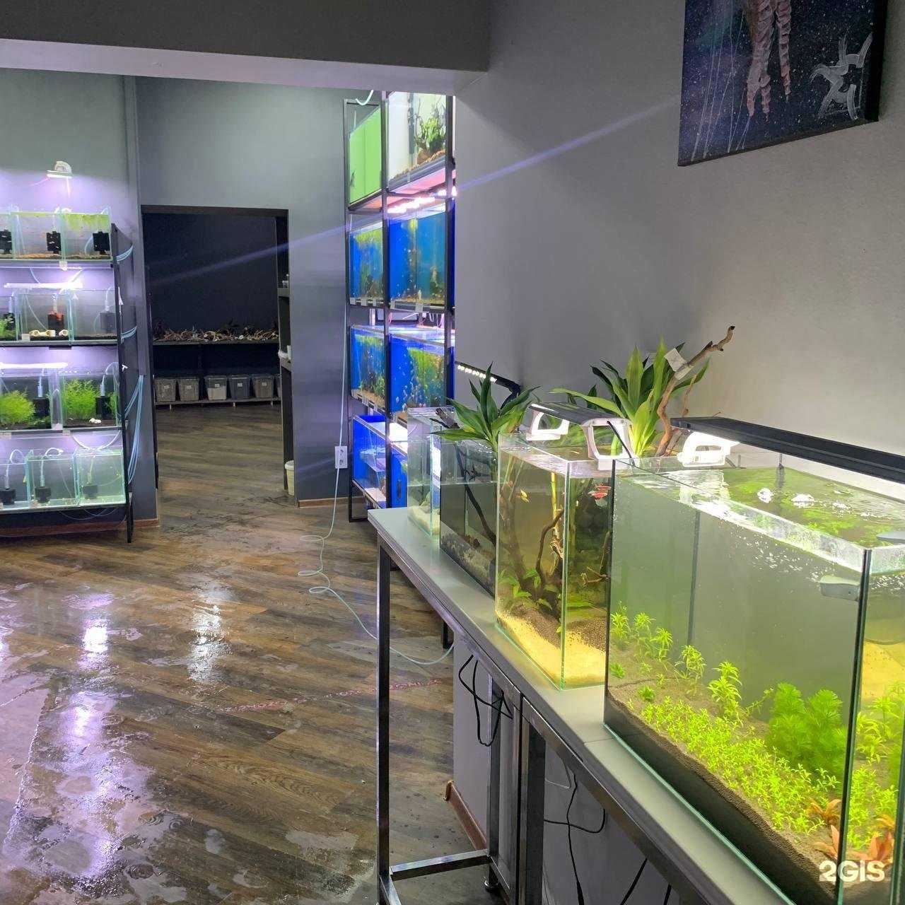 Отзывы на компанию АкваРим в Северодвинске c фото