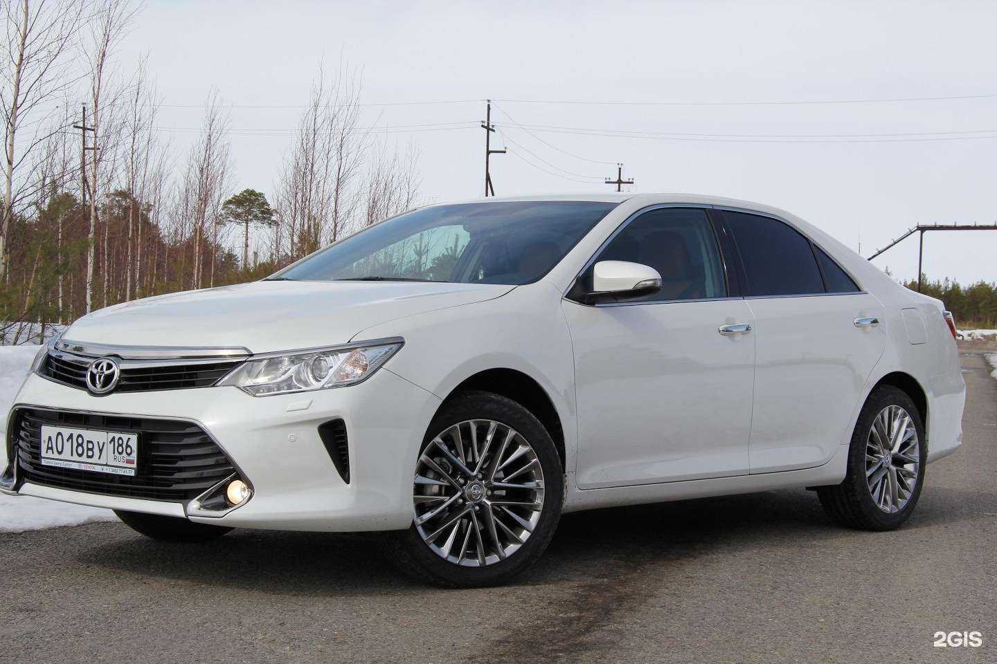 Отзывы на компанию Стрелка в г. Красноярск c фото