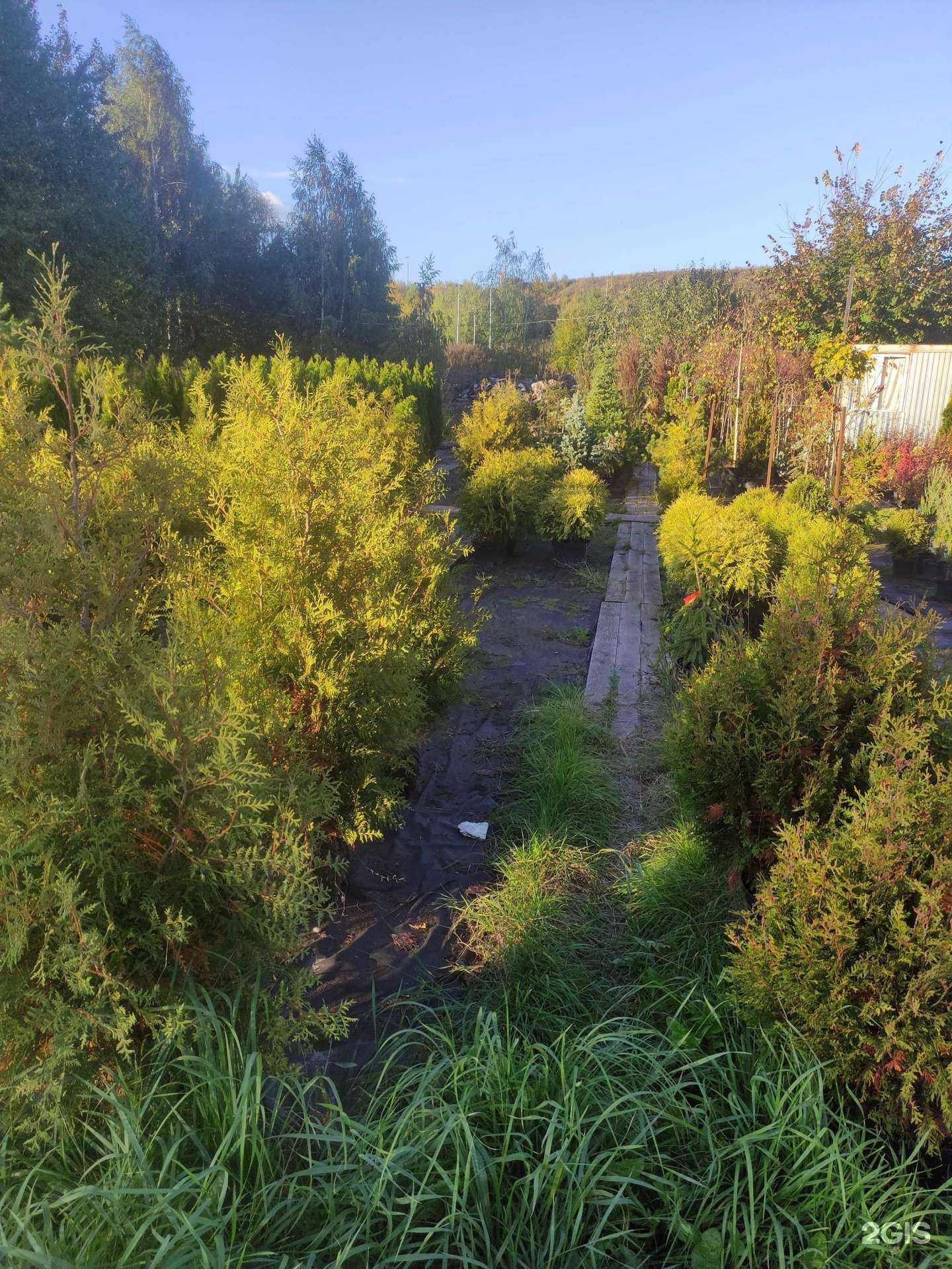 Отзывы на компанию Garden Secret в г. Химки c фото