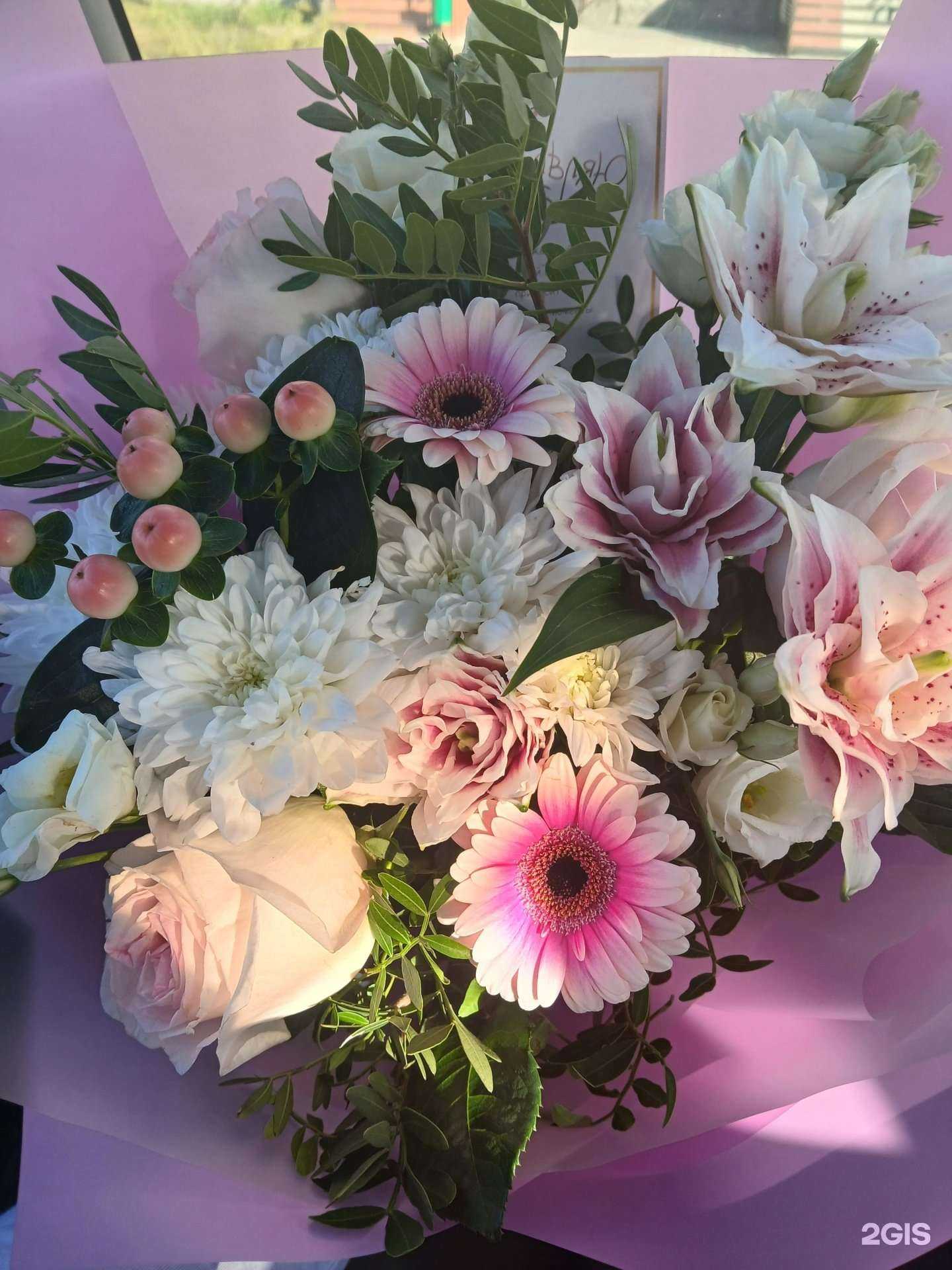 Отзывы на компанию Азалия в г. Камень-на-Оби c фото