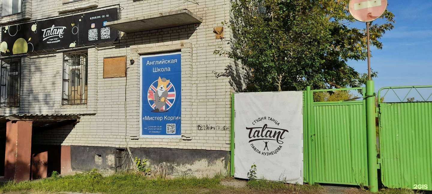 Отзывы на компанию Мистер Корги в Кургане c фото