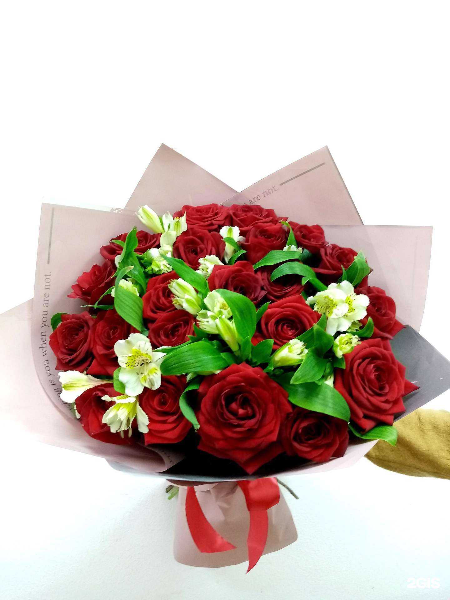 Отзывы на компанию Лобелия в Нижнем Новгороде c фото