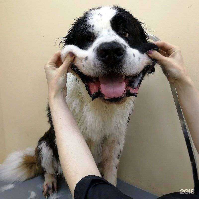 Отзывы на компанию Лайки в Иркутске c фото