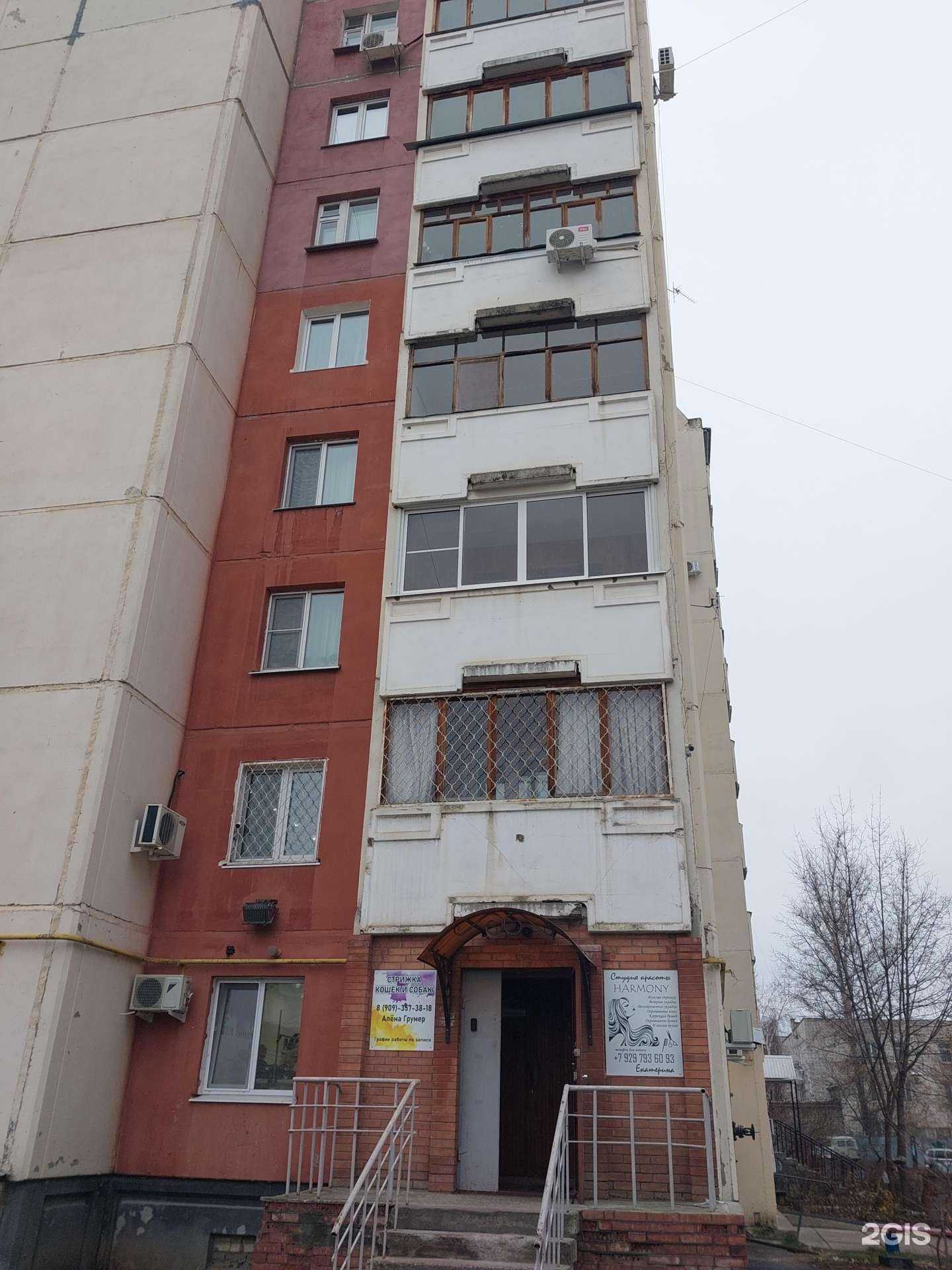 Отзывы на компанию Альфадент в Димитровграде c фото - фотография 2 из 2