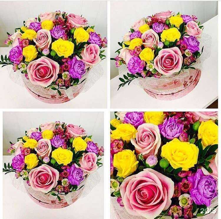 Отзывы на компанию Флорис.ру в Новосибирске c фото