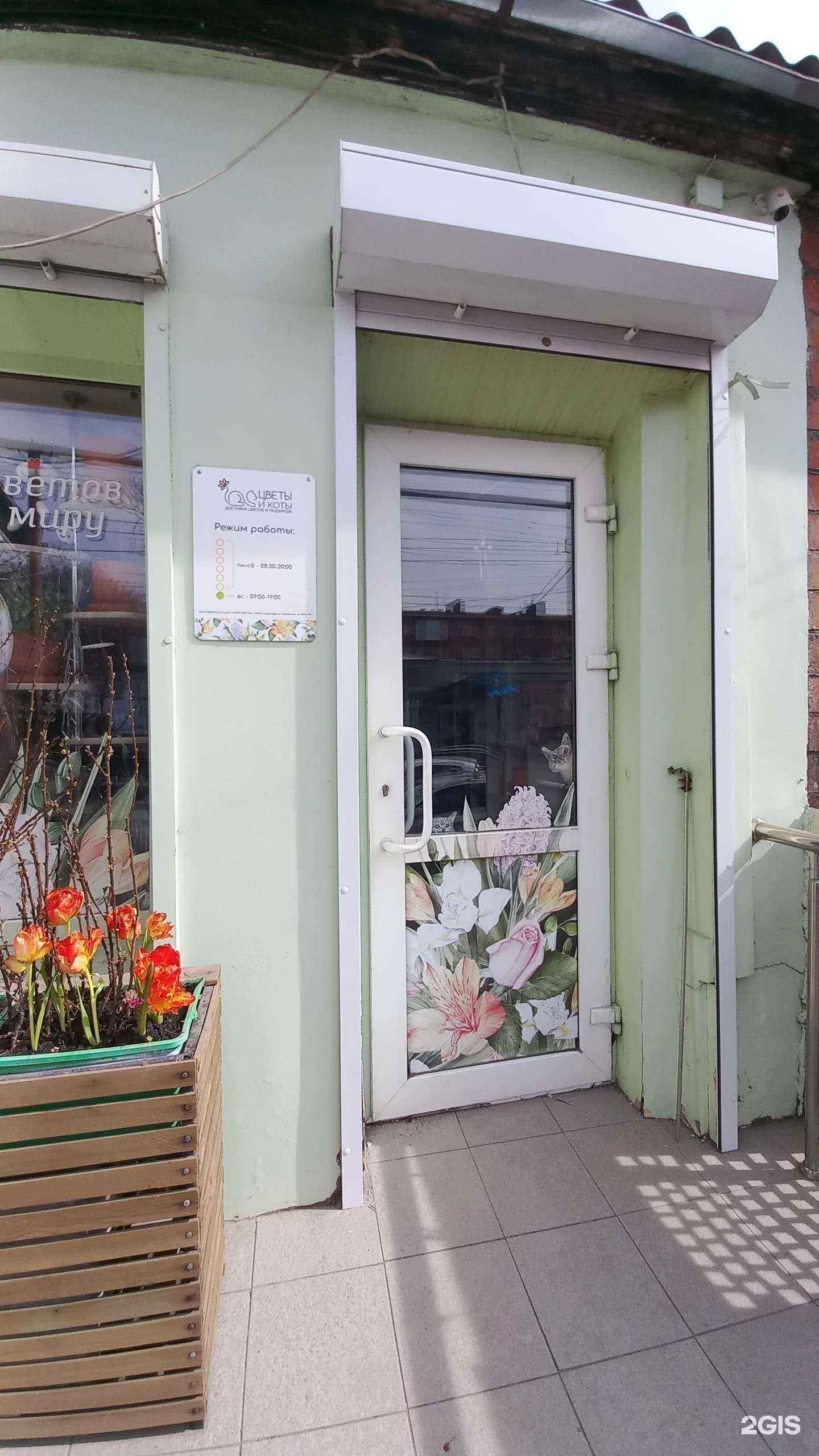 Отзывы на компанию Эдельвейс-сервис в Краснодаре c фото