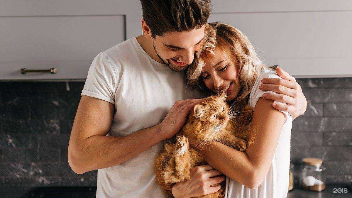 Отзывы на компанию Сова в г. Истра c фото