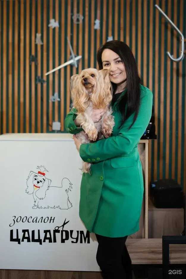 Отзывы на компанию Цацагрум в Новом Уренгое c фото