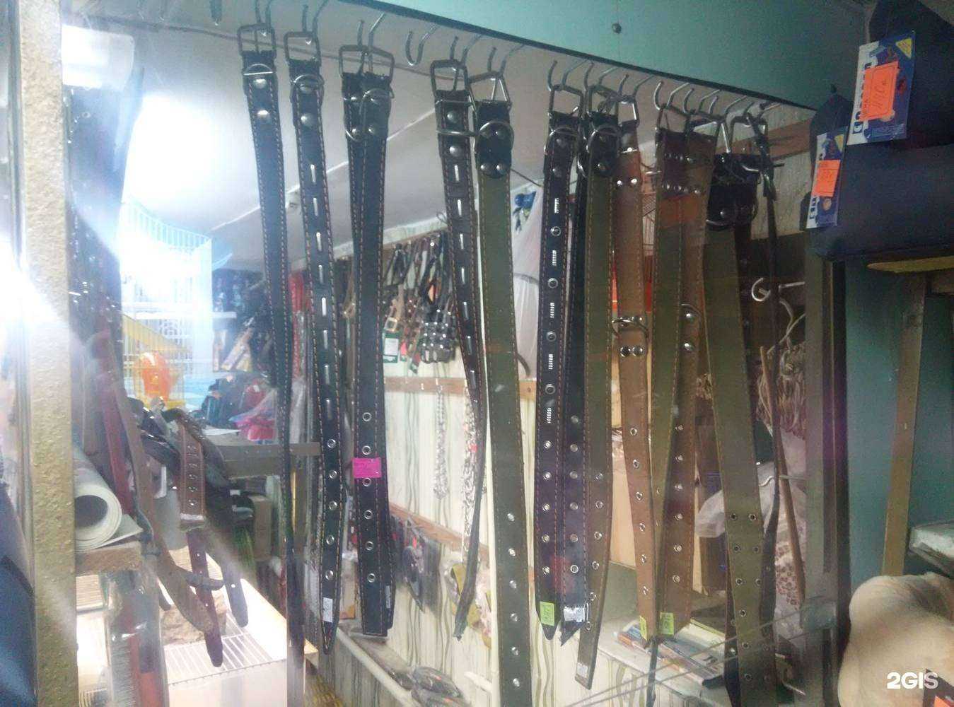 Отзывы на компанию Зоомир в Кемерове c фото