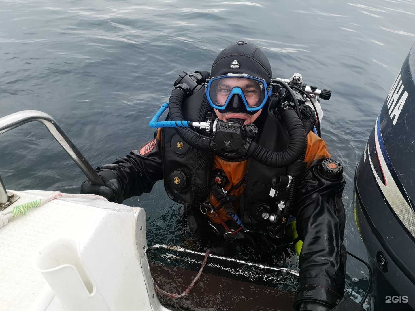 Отзывы на компанию Афалина в г. Находка c фото