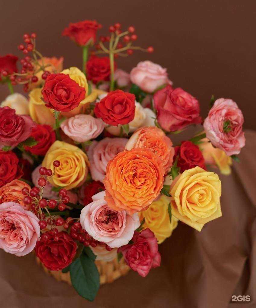 Отзывы на компанию Своя роза в Волгограде c фото