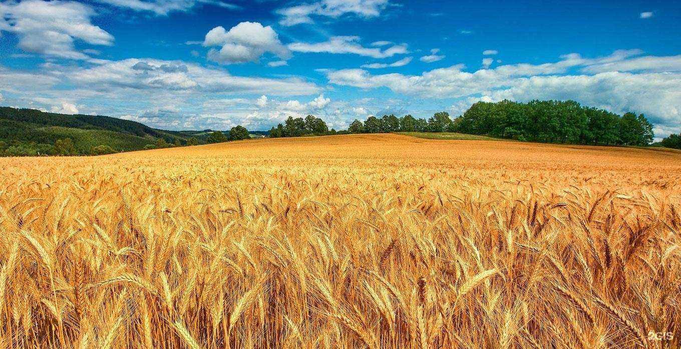 Отзывы на компанию Тотем в г. Тюмень c фото