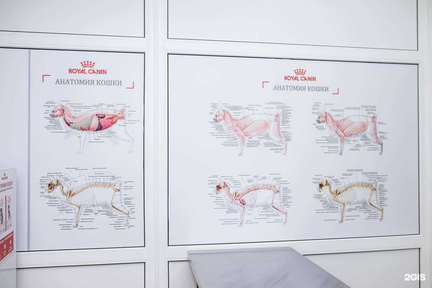 Отзывы на компанию Друг в Краснодаре c фото