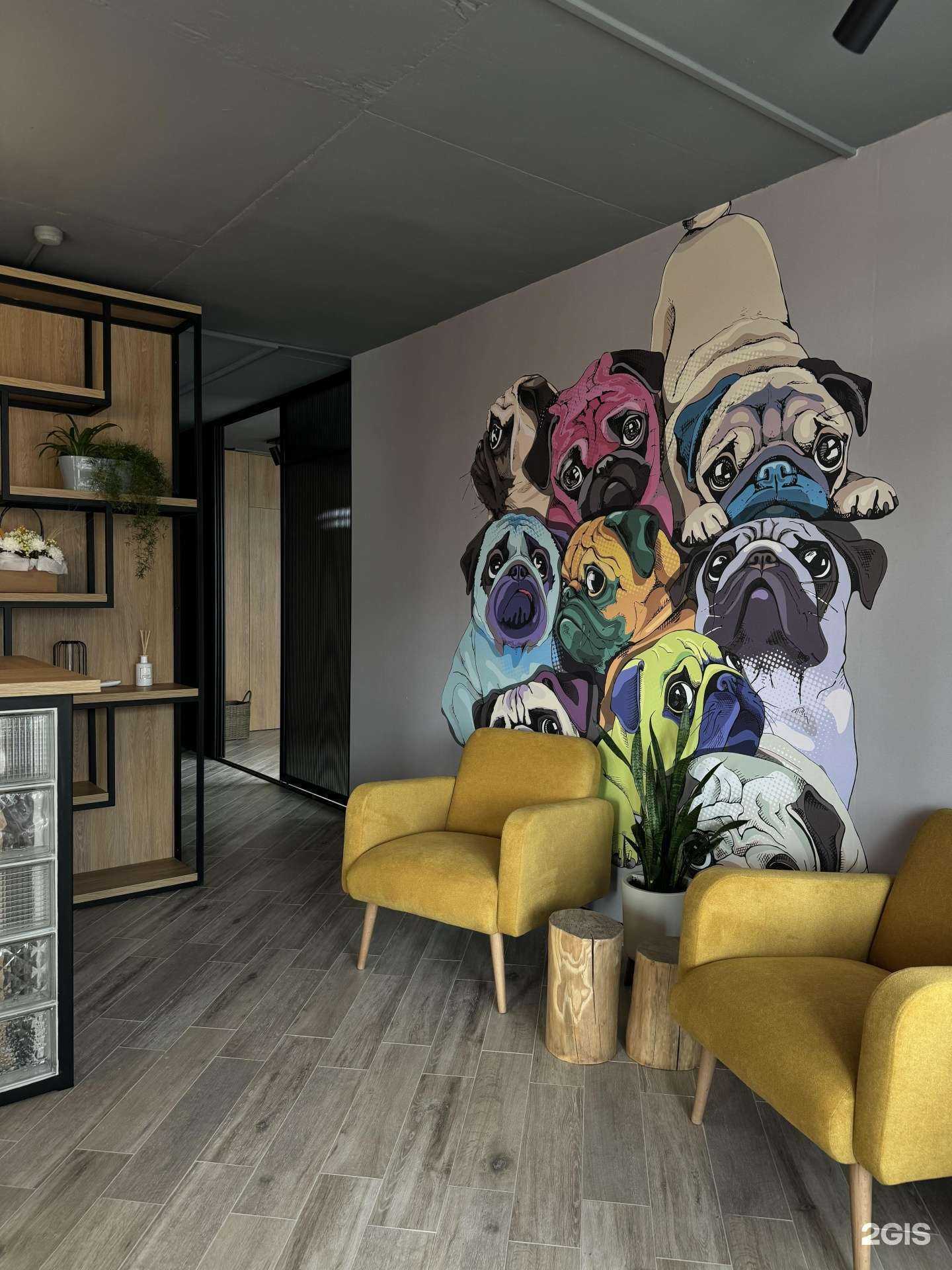 Отзывы на компанию Лапа в г. Анапа c фото