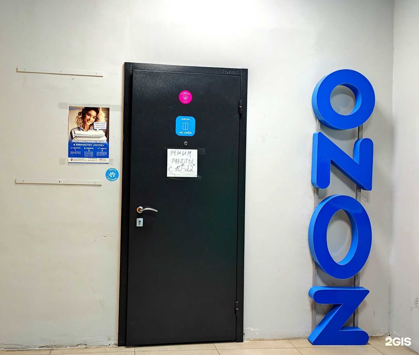 Отзывы на компанию Лотос в Пушкине c фото