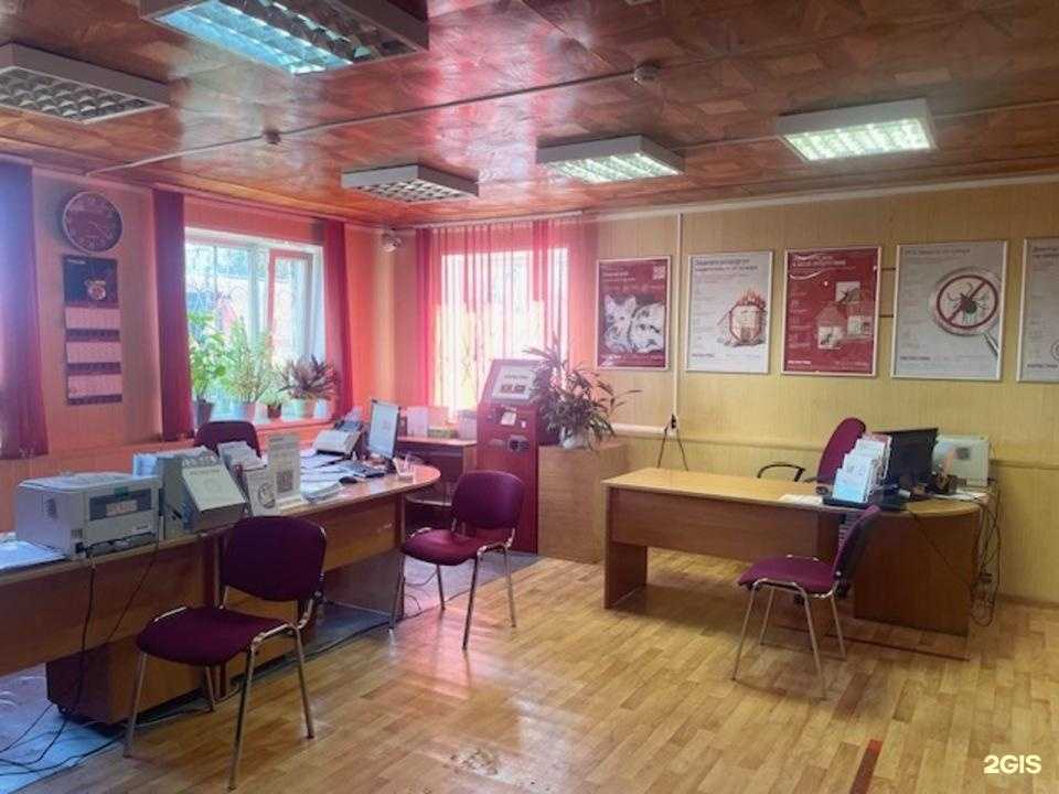 Отзывы на компанию Росгосстрах в г. Алексеевка c фото